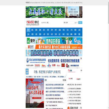 中国新闻网黑龙江站