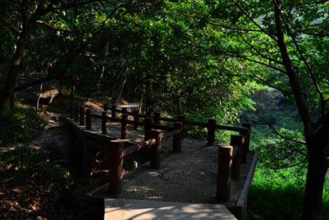 在广州哪里可以爬山 广州十大名山排名榜 