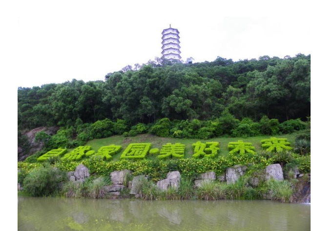 深圳什么地方好玩免费 盘点深圳十大免费景点 