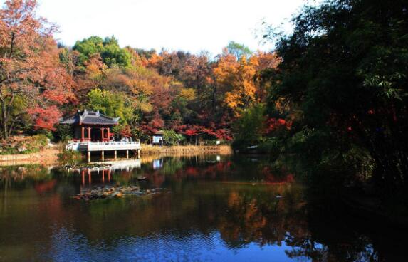 南京必去景点排名，夫子庙吃货必去，总统府等景点有浓厚历史性