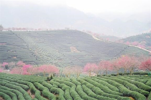 福建省内自驾游前十名 永福花乡必去，其它有机会都别错过