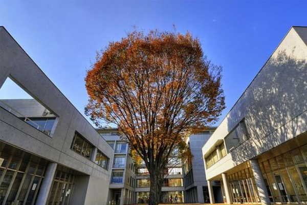 东京前十名大学排 一桥大学上榜，第一名实至名归（完整版）