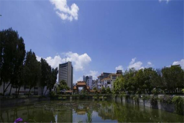 广西十大人口县城 合浦县上榜，第九是当地最大粮食生产基地