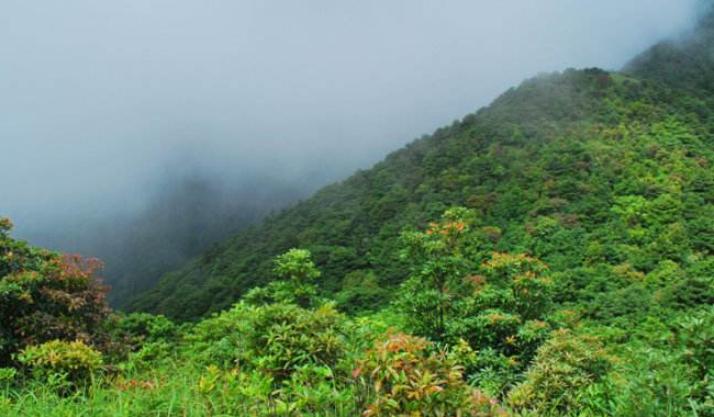 在广州哪里可以爬山 广州十大名山排名榜 